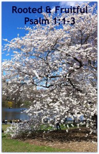Meditating on God's Word, Psalm 1
