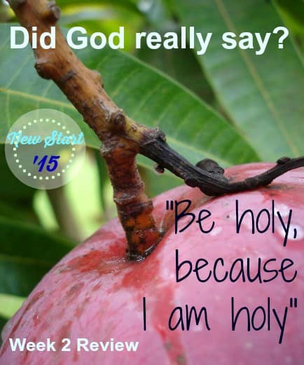 Did God Really Say “Be Holy?”