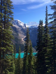 A view of Moraine Lake after a few switchbacks of the trail.