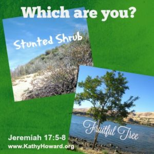 Are you a Stunted Shrub or a Fruitful Tree?