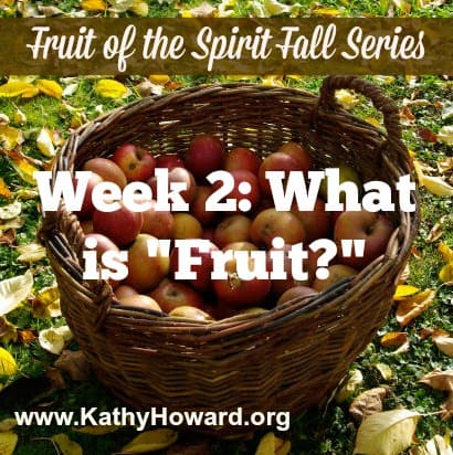 Fruit of the Spirit Week 2: What is “Fruit?”