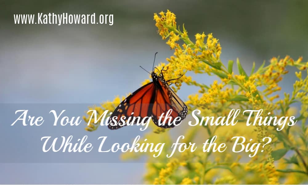 Are You Missing the Small Things While Looking for the Big?