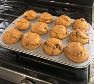 Pumpkin chocolate chip muffins