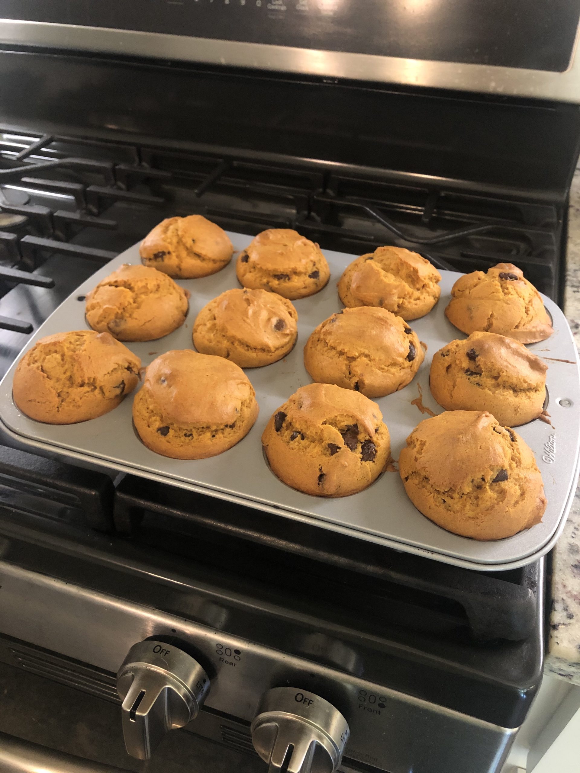 Pumpkin chocolate chip muffins