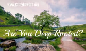 Deep rooted tree